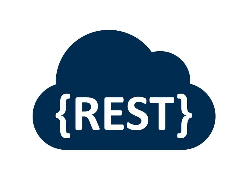 اتصال افزونه وردپرس به سامانه های خارجی با REST API
