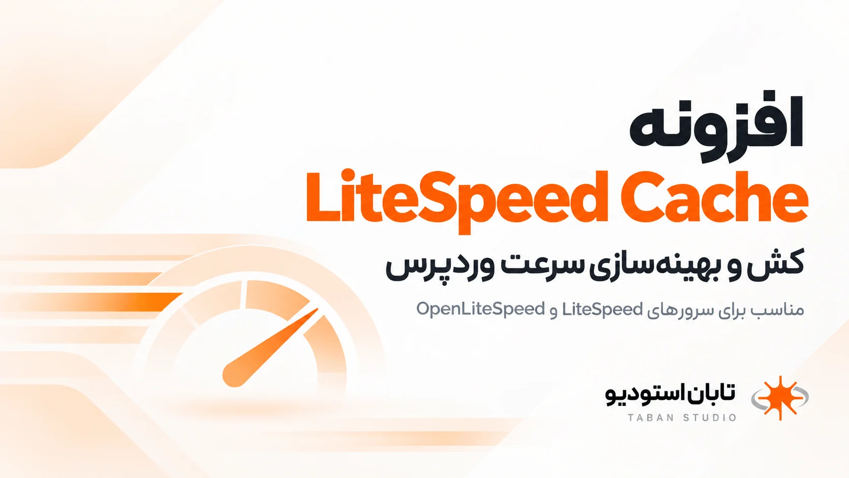افزونه ی کش لایت‌اسپید   مناسب سرور های بر پایه ی لایت اسپید